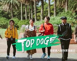 91成人短视频《TOP DOG》免费在线观看