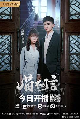 91成人视频《喵不可言》免费在线观看