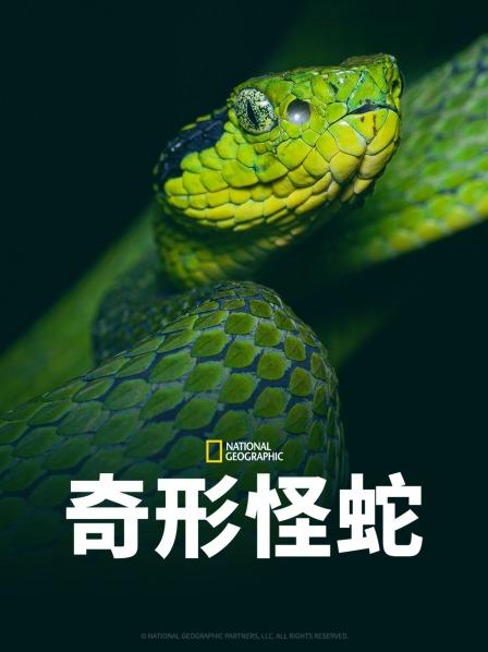 91成人视频《奇形怪蛇》免费在线观看
